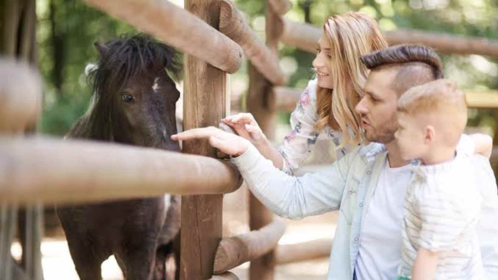 Best Petting Zoos in Prague for Families with Kids