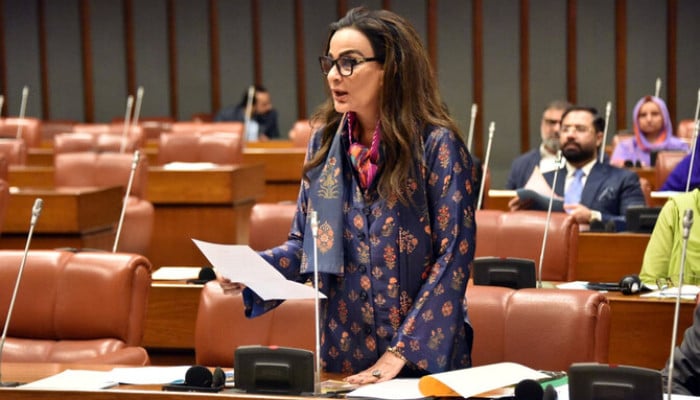 'Better not to take administrative units debate any further', says PPP after Naqvi's proposal