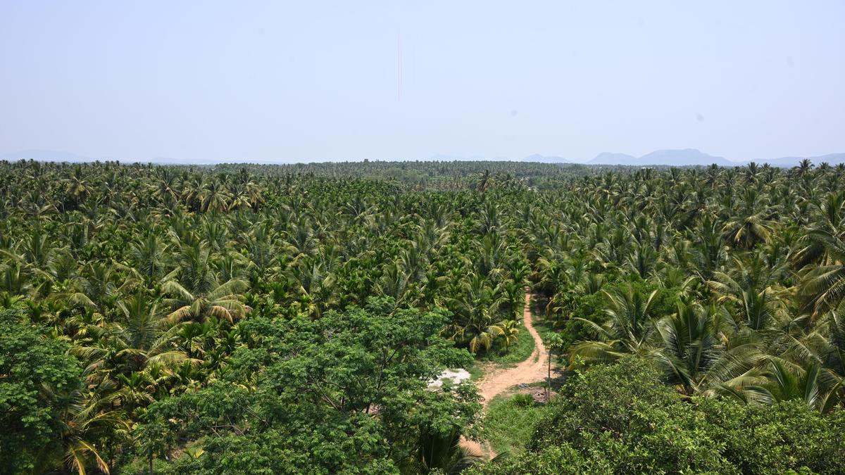 Bidadi project: Hours after Karnataka Chief Minister announces review panel, govt. issues final land notification for acquiring 4,944.49 acres across four villages