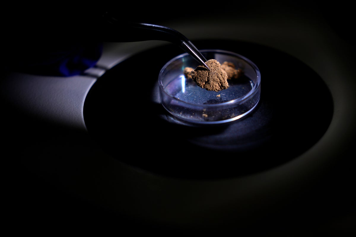 Brazil uses forensic science to trace gold's origin and tackle illegal mining in the Amazon