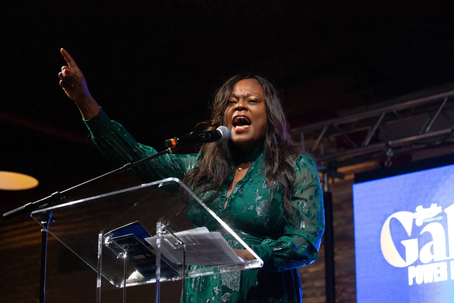 Brooklyn Democrats move to replace Rodneyse Bichotte Hermelyn as party chair