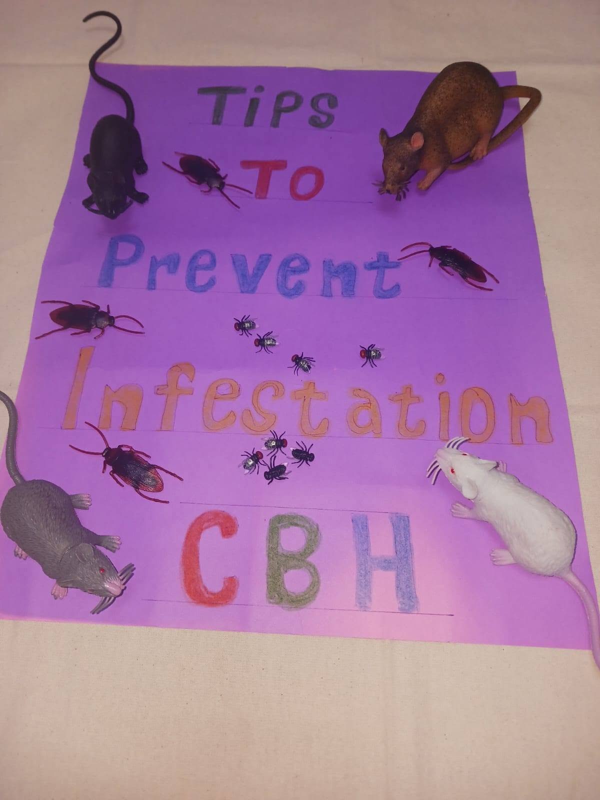 CBH Brings Public Health Education to Villa Poly Clinic