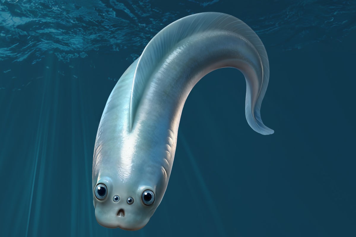 Cambrian fossils reveal earliest vertebrates had ‘four camera-type eyes’