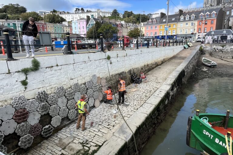 Can coastal infrastructure be engineered to harbor marine life instead of harming it?