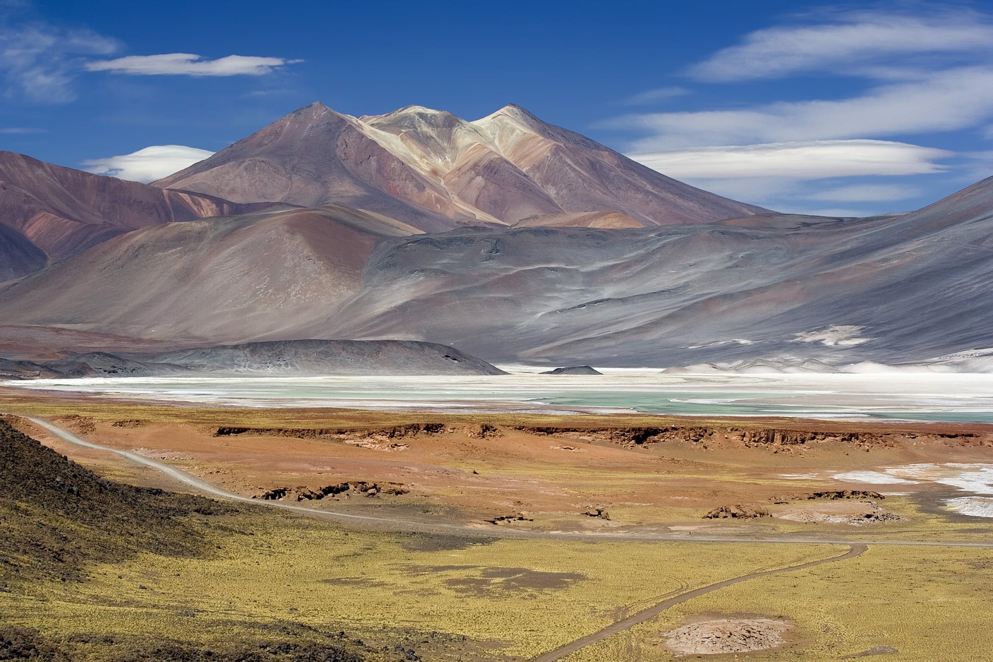Chile's Wetlands: Iconic Sites to Visit and Those at Risk