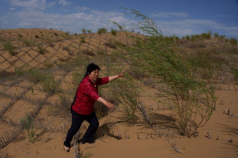 China’s ‘Green Great Wall’ tames desert growth, but scientists warn the fight is not over