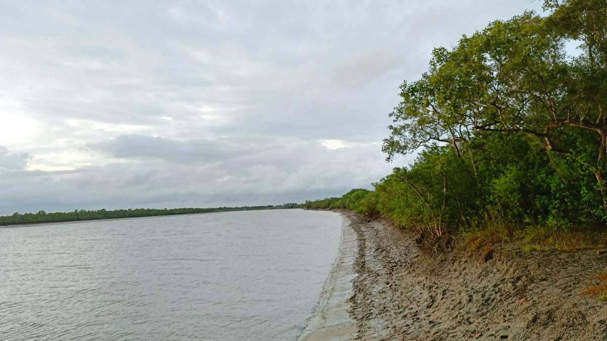 Coast Guard arrests four arms smugglers off Sundarbans