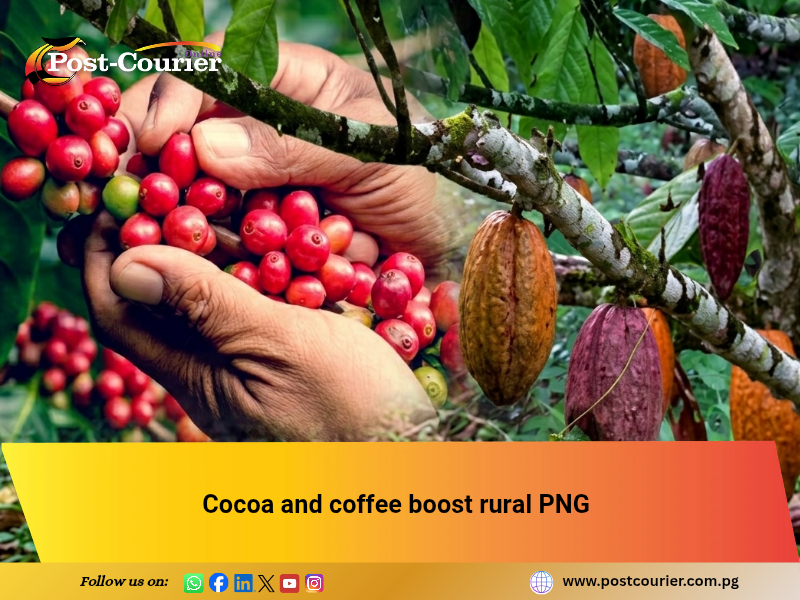 Cocoa and coffee boost rural PNG