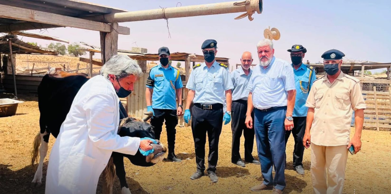 Continued Epidemiological Surveillance Campaigns for Livestock in Sirte to Combat Foot-and-Mouth Disease