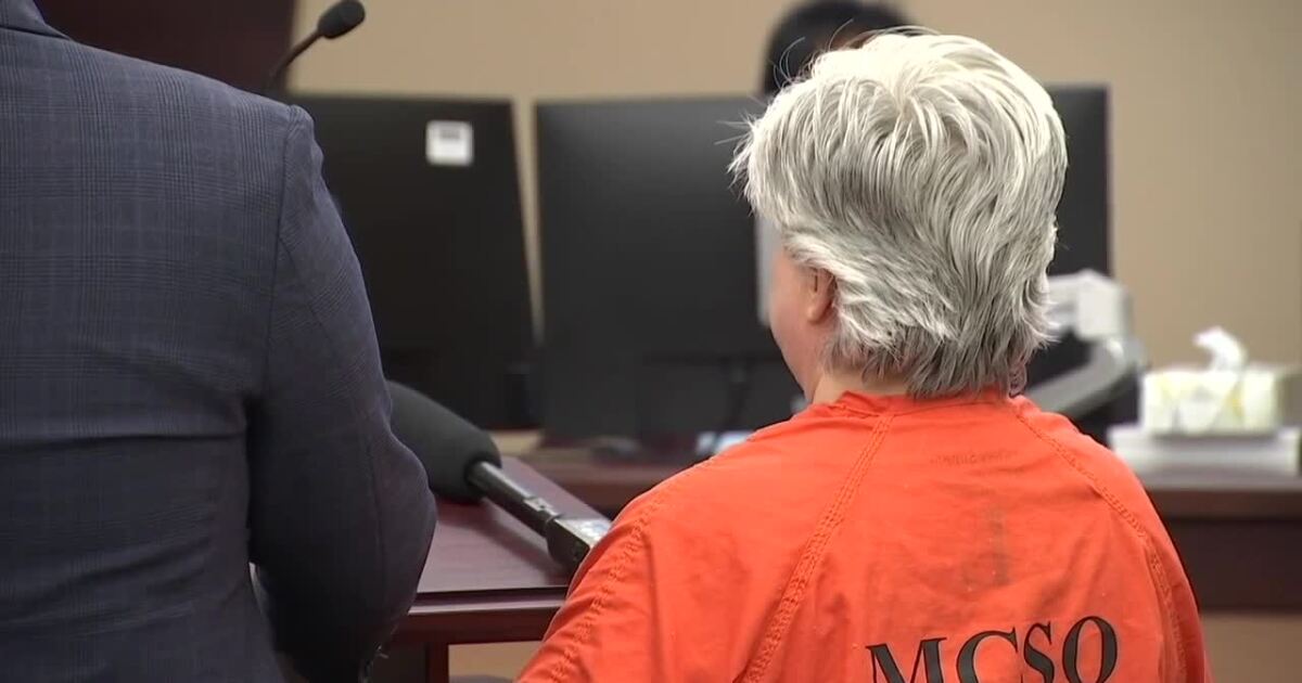 Could the 2005 'Baby Skylar' case end in a plea deal?