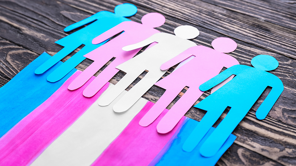 Countess: Irish Govt should note legal rulings on trans in sports