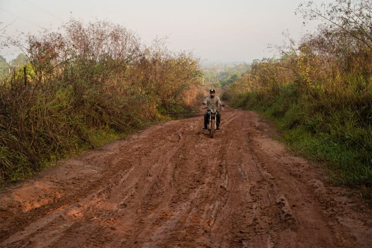 Crackdown lets rainforest reclaim illegal road in rare win for the Amazon