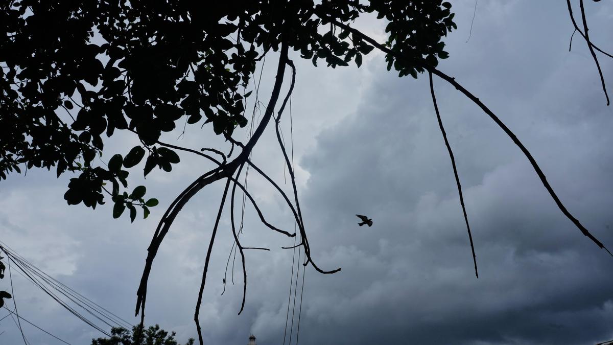 Deep depression over Bay of Bengal to bring very heavy rainfall over south Bengal districts, says IMD