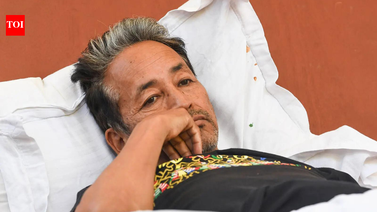 Delhi HC allows Wangchuk's transfer to private hospital; Centre gives 'no objection' with a condition | India News