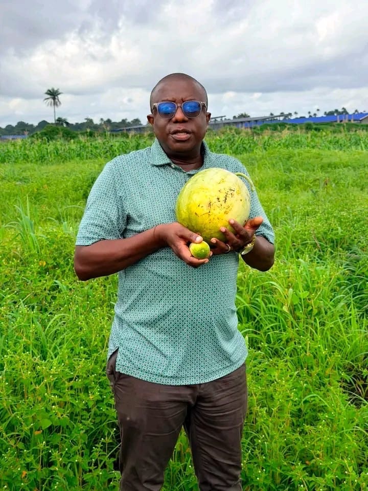 Deputy Mines Minister urges Sierra Leoneans to boost food production