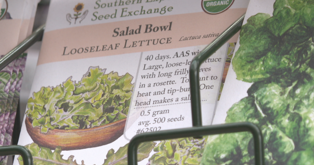 Does the parasite outbreak have you thinking of growing your own produce?