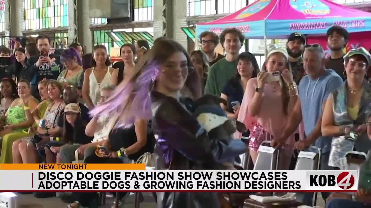 Doggie Disco fashion show features adoptable dogs, local vendors