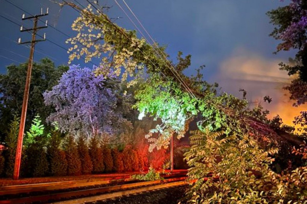 Downed trees and outages sweep across new jersey after storms