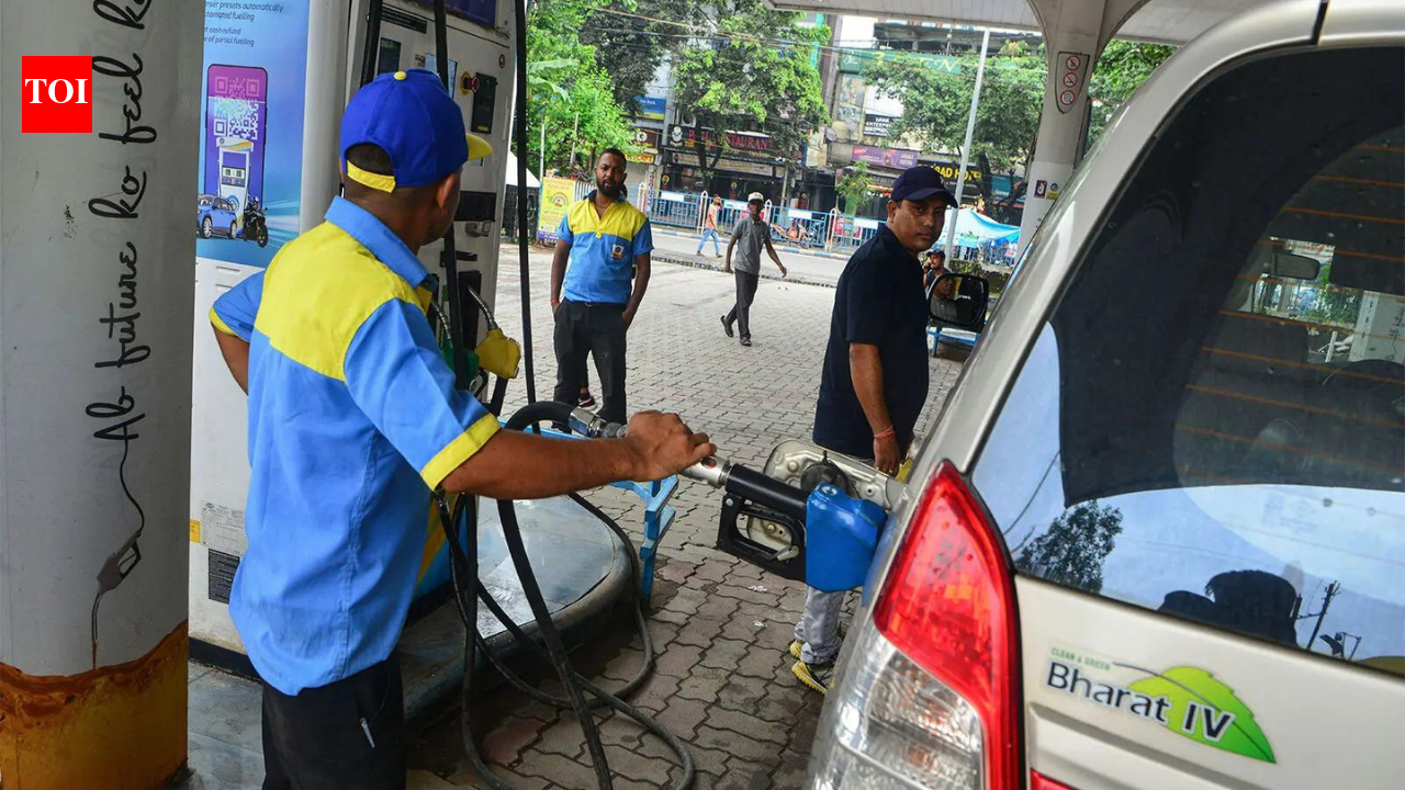 E20 petrol and vehicle mileage: What Nitin Gadkari said amid growing concerns | India News