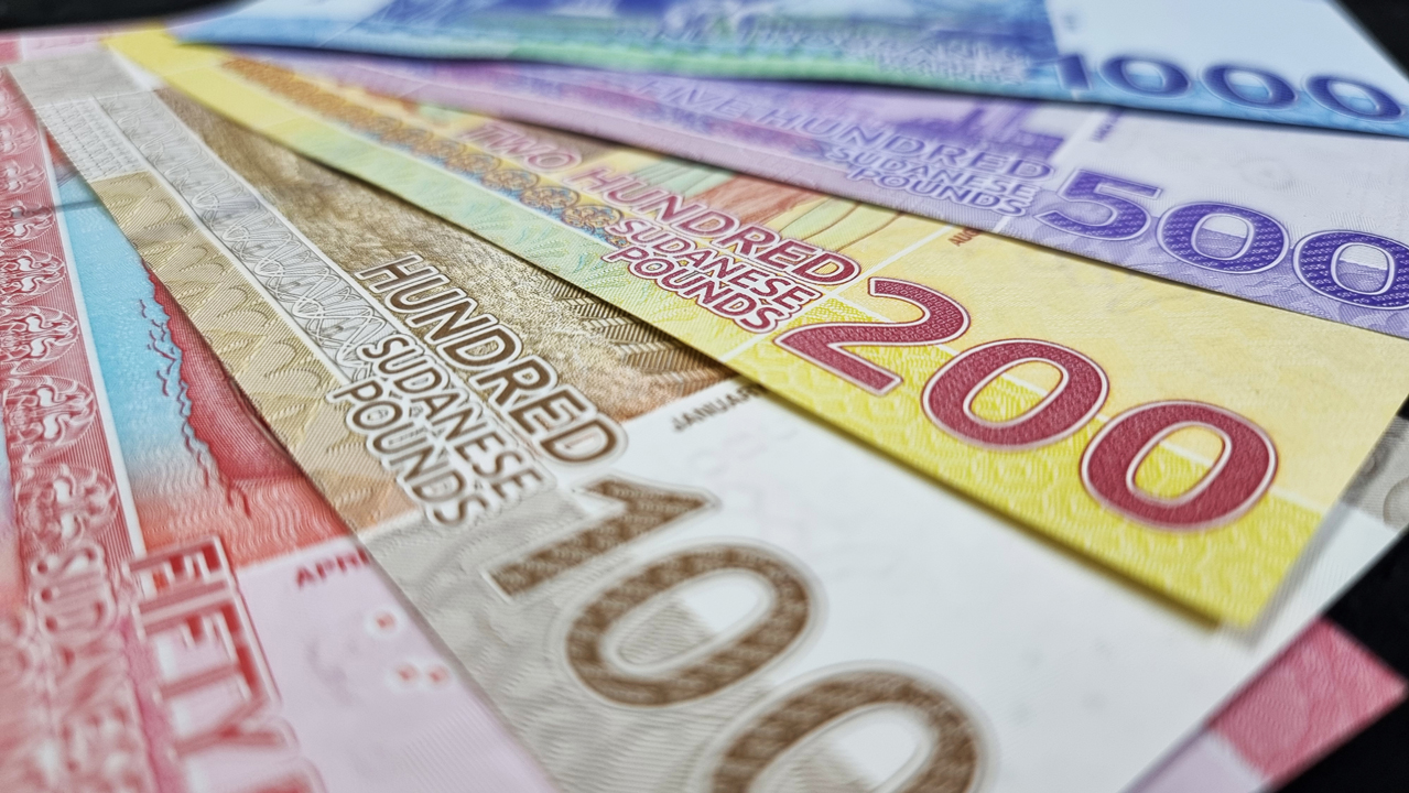 Economist: ‘Sudan should channel half its cash supply into sovereign fund’