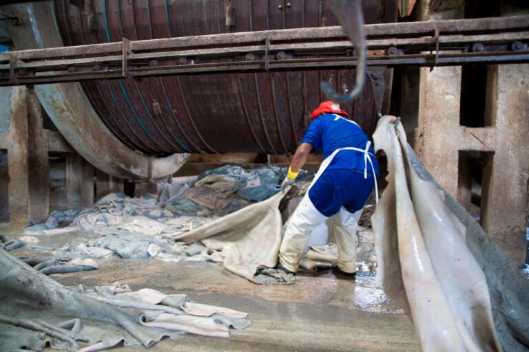 European Commission excludes leather from landmark deforestation law