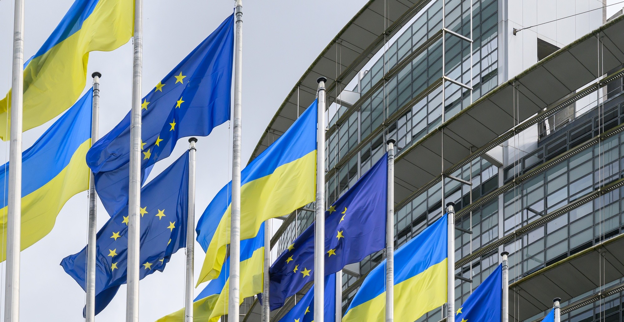 European Parliament criticises Zelensky for naming military unit after group that massacred Poles in WWII