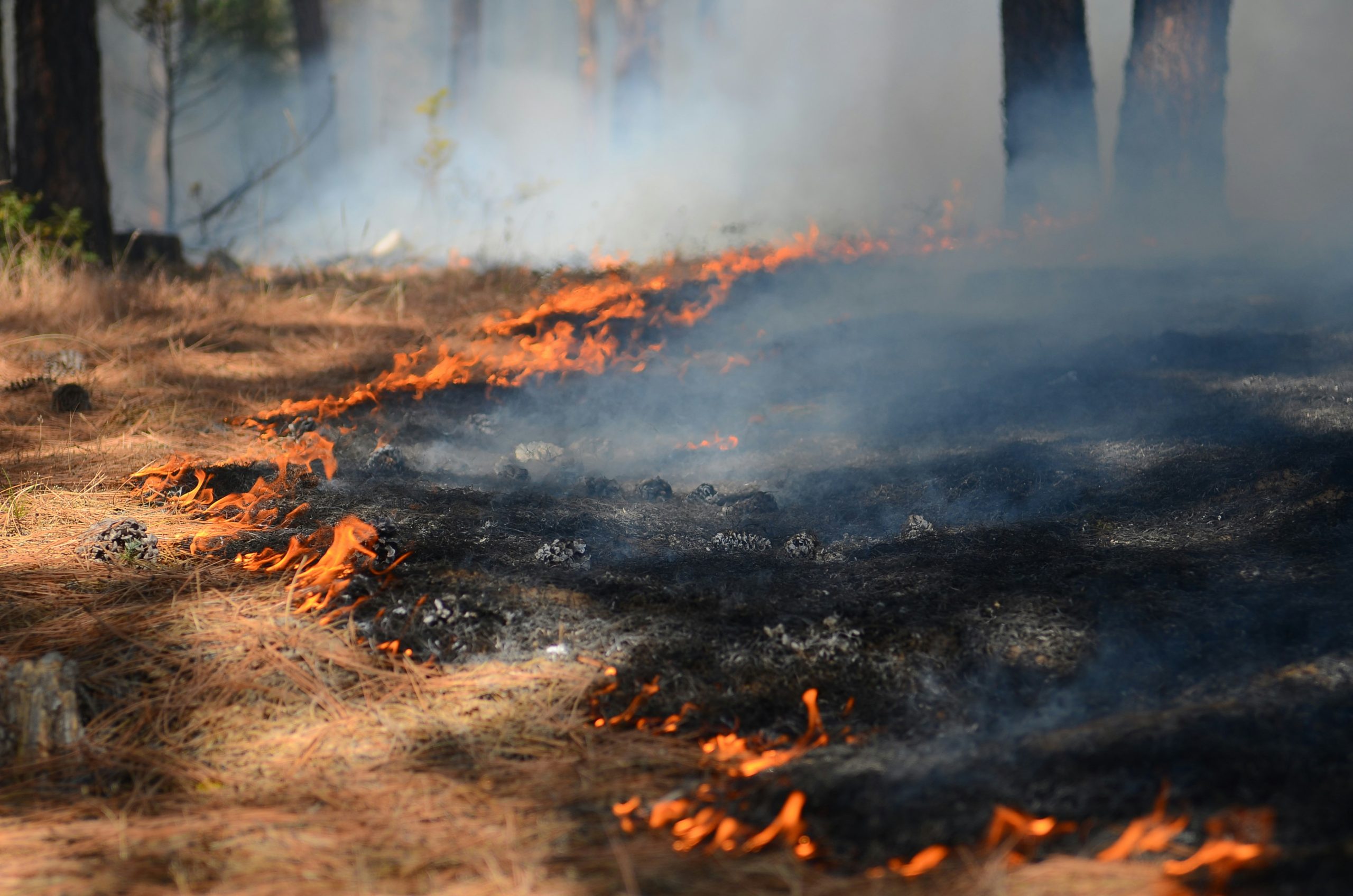 Fires rage in France, Spain; flames also approach Bordeaux