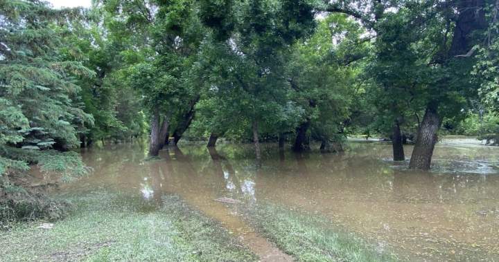 Flooding persists as western Manitoba communities recover from storm - Winnipeg