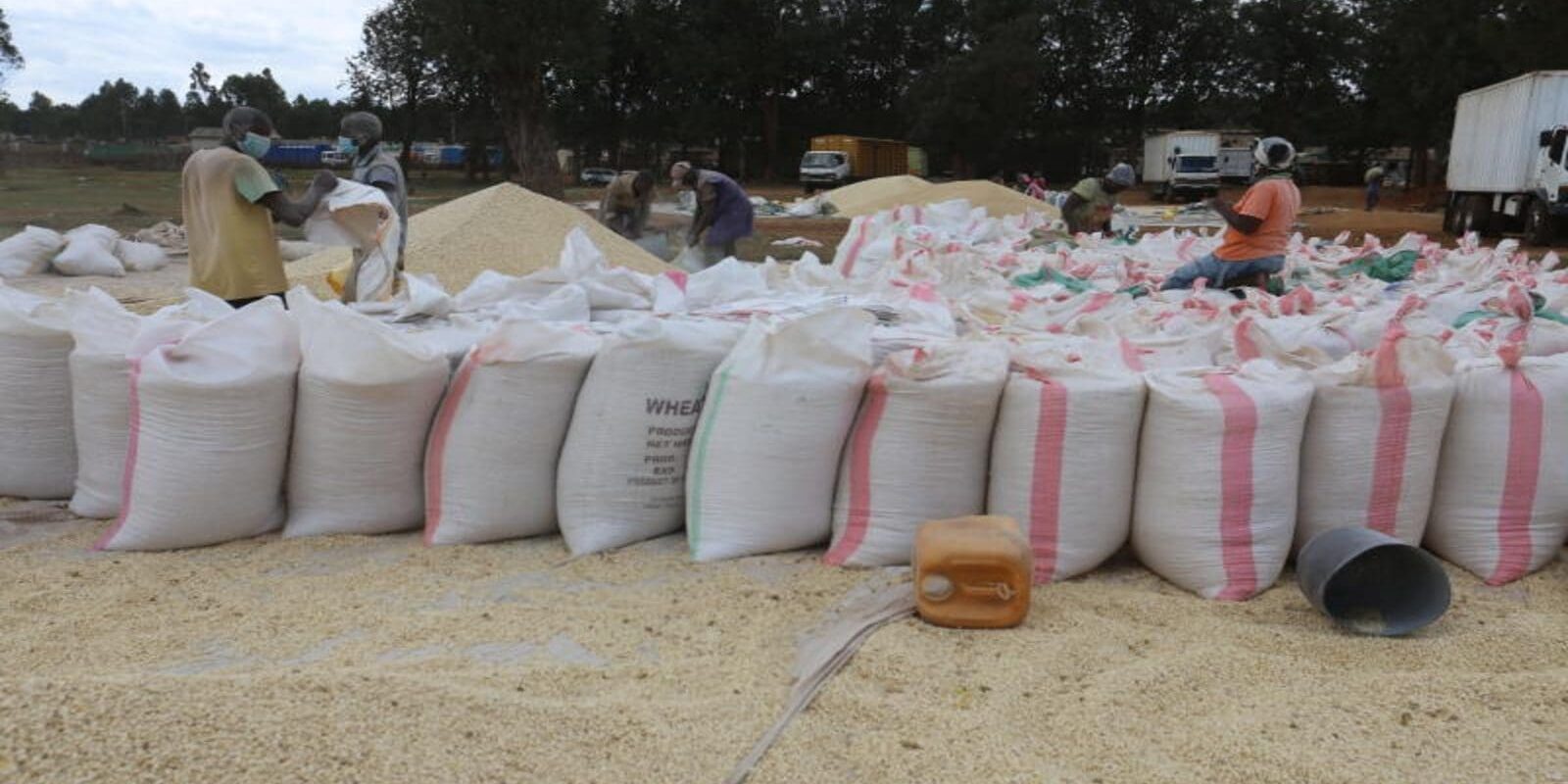 Food Reserve Agency sets K347 floor price for maize as 2026 crop buying begins