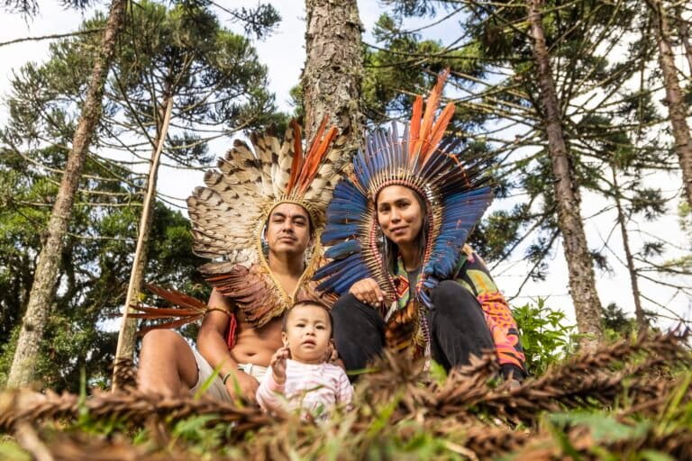 For Brazil’s Xokleng people, saving a sacred tree means saving their culture