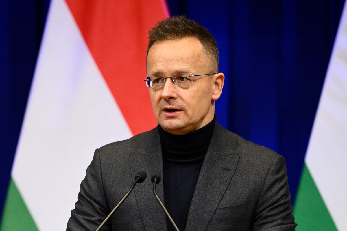 Former Hungarian foreign minister resigns from parliament for job with Chinese automaker