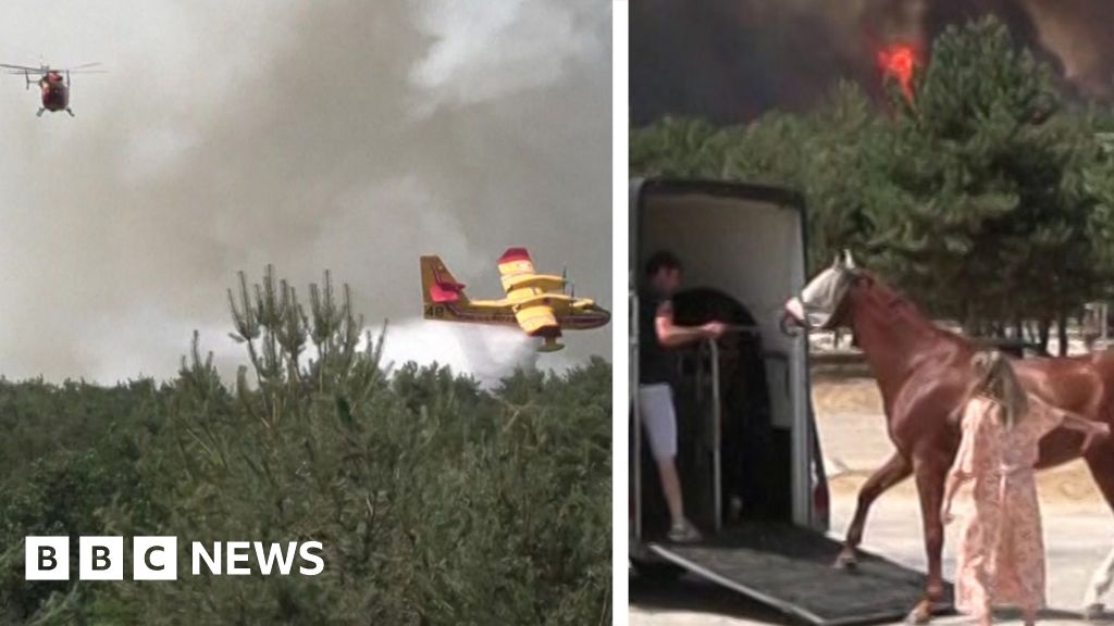 Composite image of a plane dropping water and a horse being loaded into a van, fire in the background