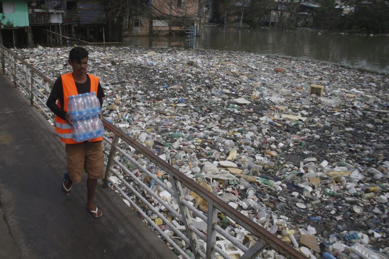 From rivers to mangroves, microplastics are contaminating the Amazon