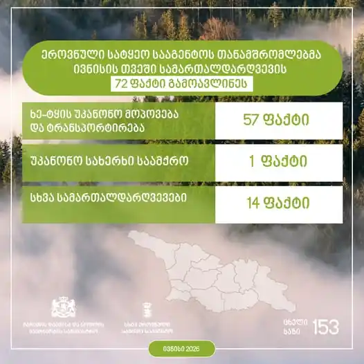 Georgia Reports 72 Forest Law Violations in June