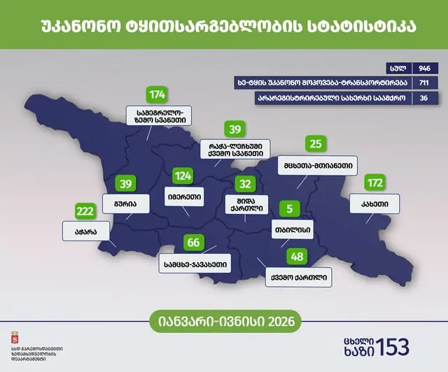 Georgia detects 946 Illegal Logging Cases in 6 Months