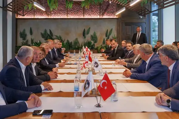 Georgian Delegation Meets Diaspora in Turkey