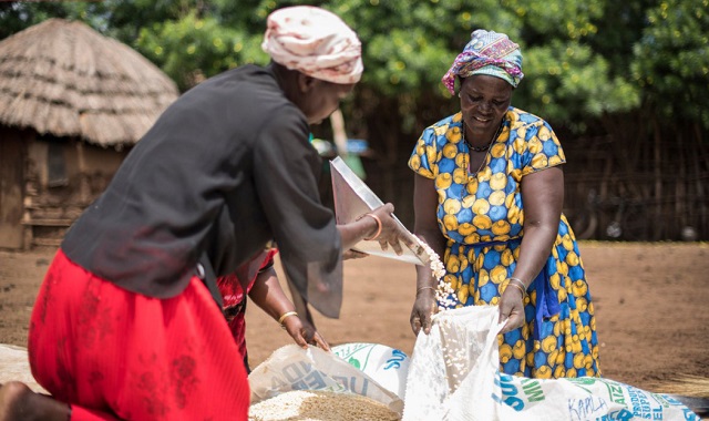 Global hunger falls, but millions in Africa still go without food, says UN