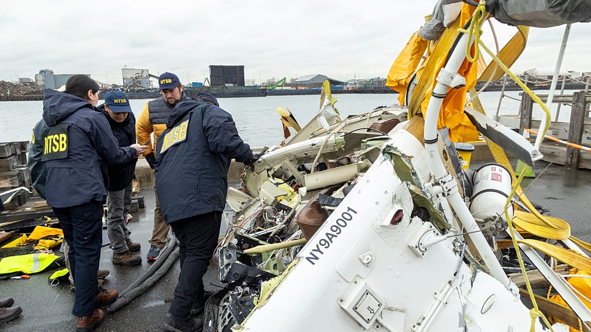 Goose flock behind crash of Siemens CEO's family in New York