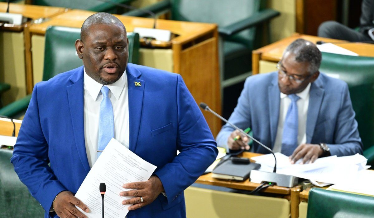 Government Senator hails Jamaica as Caribbean's most peaceful nation