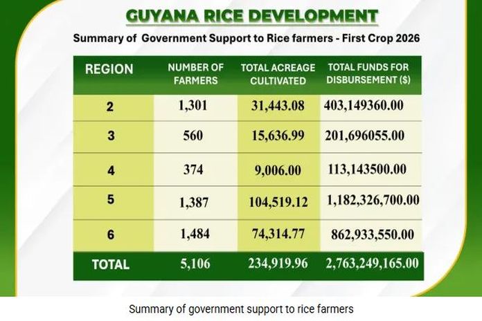 Guyana injects $2.76 billion into rice sector
