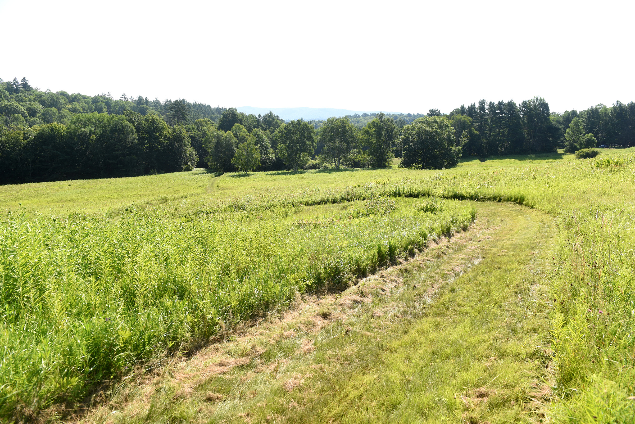 Hanover subdivision approval threatens wetlands, neighbors say