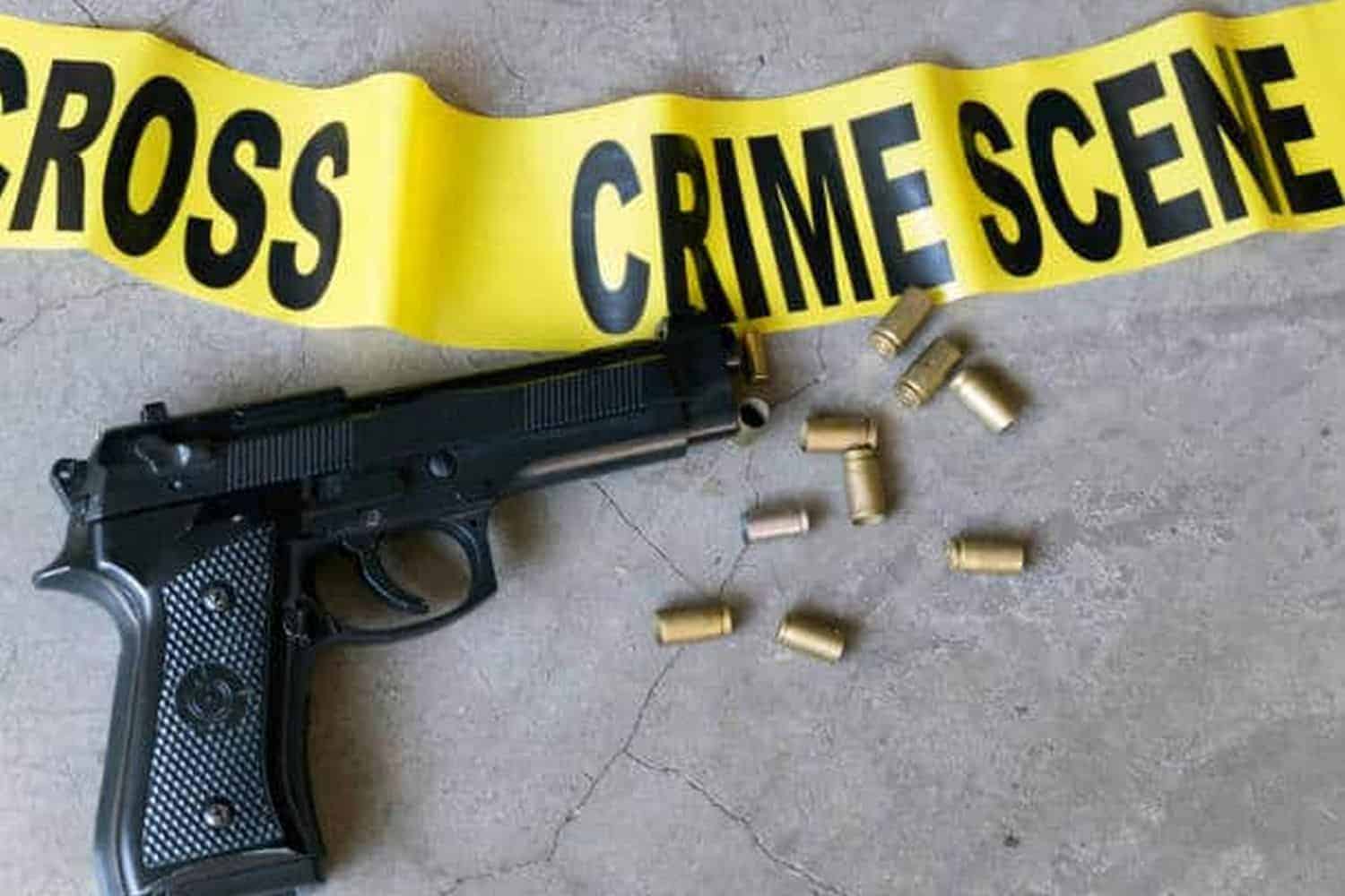 10613 people murdered by unlicensed firearms