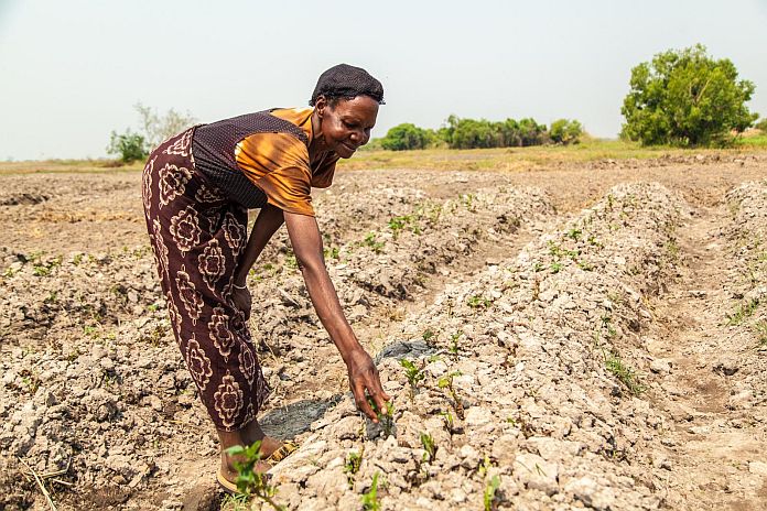 Hope in the face of harm: Understanding climate justice in the Commonwealth