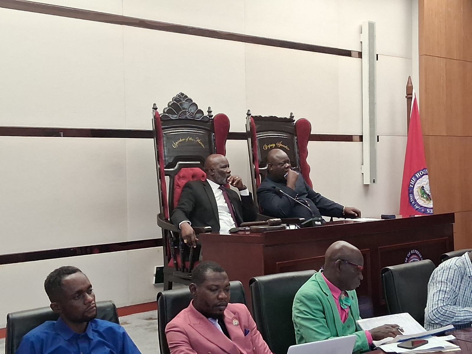 House Passes Resolution to Create 16 Additional Electoral Districts