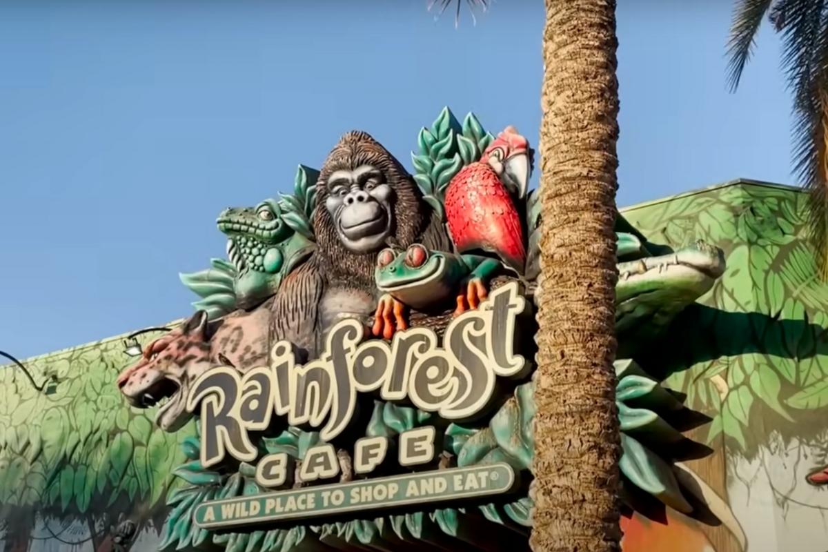 How Many Rainforest Cafes Are Left In The US
