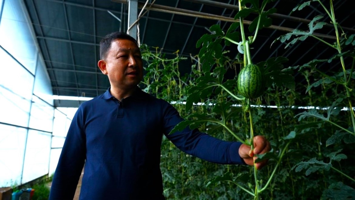 How One Chinese County Is Rethinking the Future of Farming
