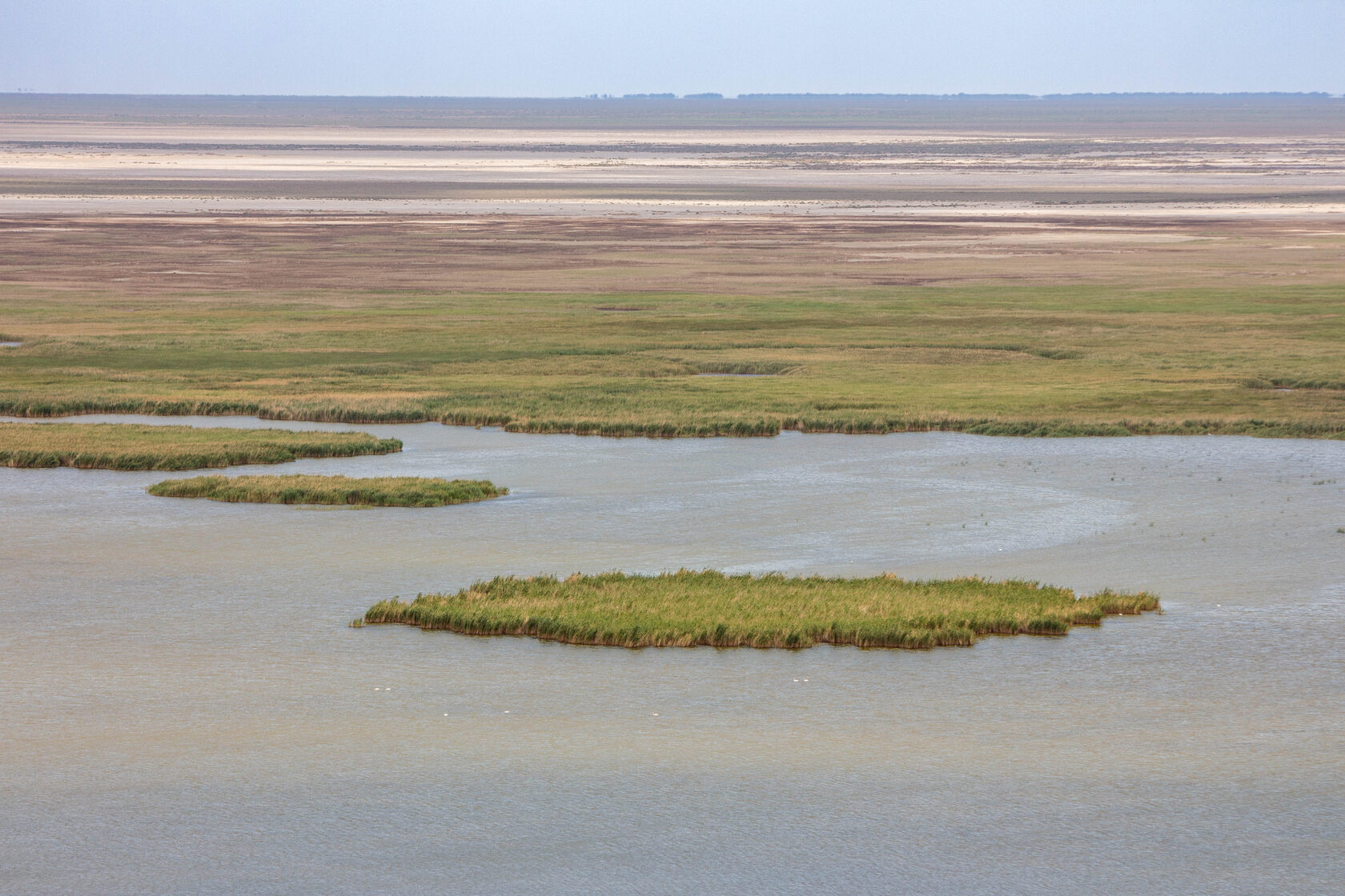 How much water does nature need? A Gazeta report from five protected areas of the Aral Sea region, where the future of entire ecosystems depends on water