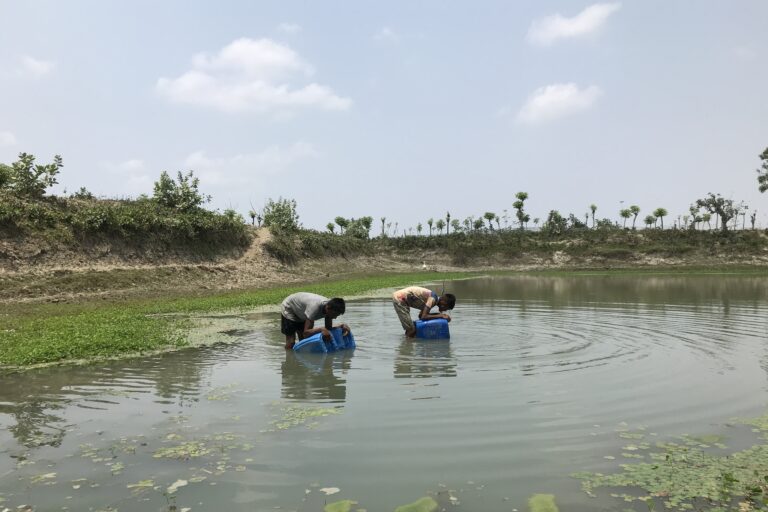 How saline drinking water raises preeclampsia risks in coastal Bangladesh (commentary)