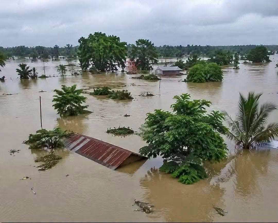 How torrential rain in Nagaland devastated Upper Assam
