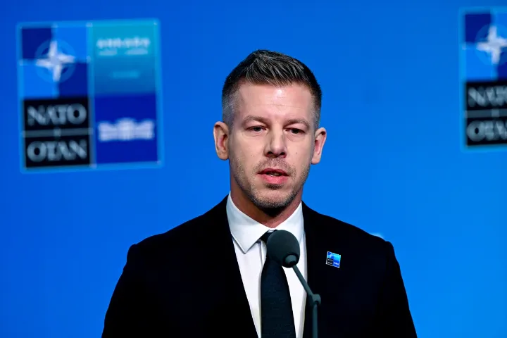 Péter Magyar at the NATO summit